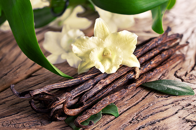 Vanilla Extract & Other Vanilla Products
